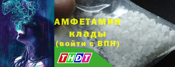 крисы Белокуриха