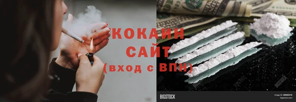 молекула духа Бородино
