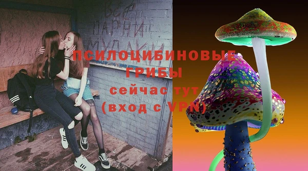 молекула духа Бородино