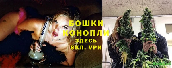 спайс Верея