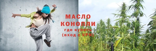 молекула духа Бородино