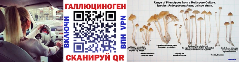 Галлюциногенные грибы MAGIC MUSHROOMS Верещагино